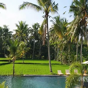 bhanuswari-villas-ubud.ubudhotelsnow.com/